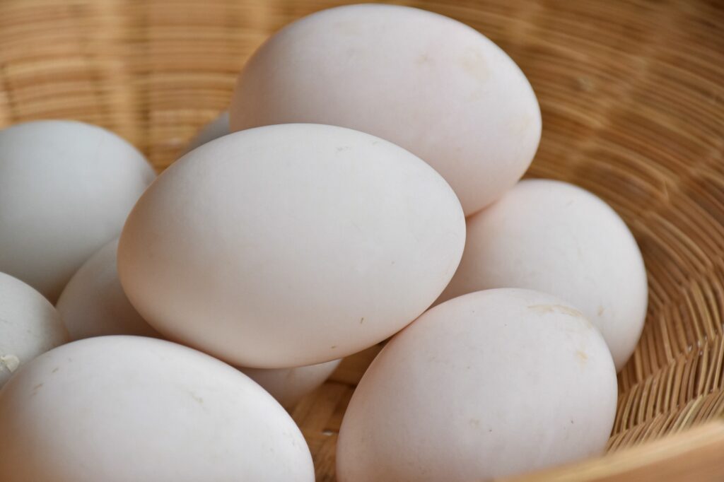Raw dirty duck eggs in the bamboo bowl basket on white background